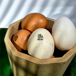 Inicio huevos criollos